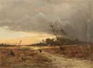 Abendliche Heidelandschaft