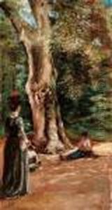 Nel Bosco Nel Bosco