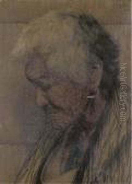 Weary With Years. Kapikapi (a Chieftainess Aged 102 Years) - view 1