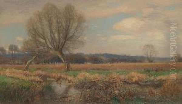 Water Meadows - view 1