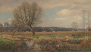 Water Meadows by Walter H. Goldsmith