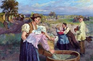 Weinlese In N-osterreich, 6000 Liter