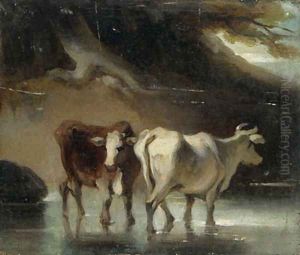 Cattle at a Pool