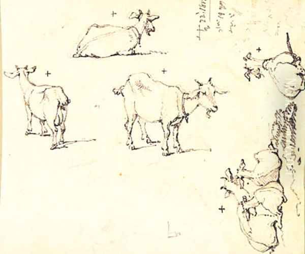 Studies of Goats - view 1