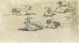 Study of goats