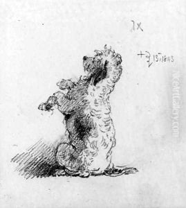 A poodle begging a study for On Dent's verandah
