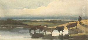 Cattle watering