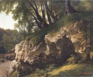 Rocky Outcrop In A Forest Rocky Outcrop In A Forest