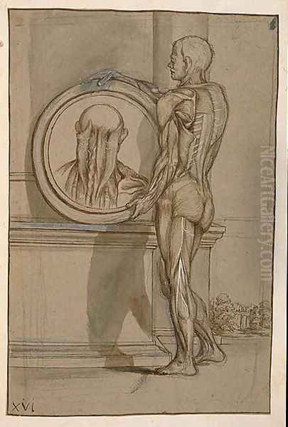 Hunter 653 Plate XVI, Anatomical drawing, c.1610 - view 1