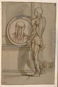 Hunter 653 Plate XVI, Anatomical drawing, c.1610 by Pietro Da Cortona (Barrettini)