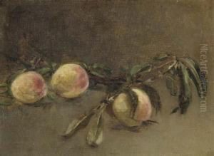 Branche De Peches by Eva Gonzales