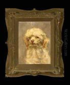 Portrait Of A Bichon Frise by Juan Antonio Gonzales
