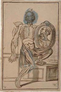Hunter 653 Plate V Anatomical Drawing, c.1610 by Pietro Da Cortona (Barrettini)
