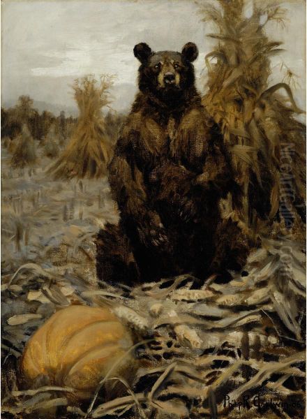 The Nature Of Bears - view 1