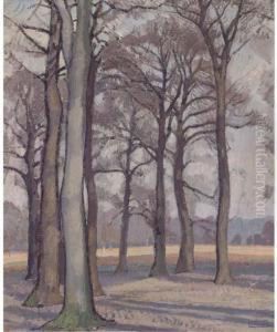 Richmond Park, Winter