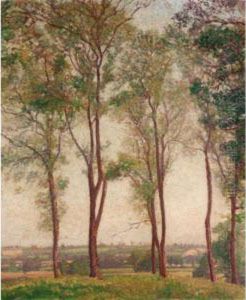 Trees Trees