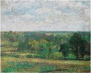 Summer Landscape Summer Landscape