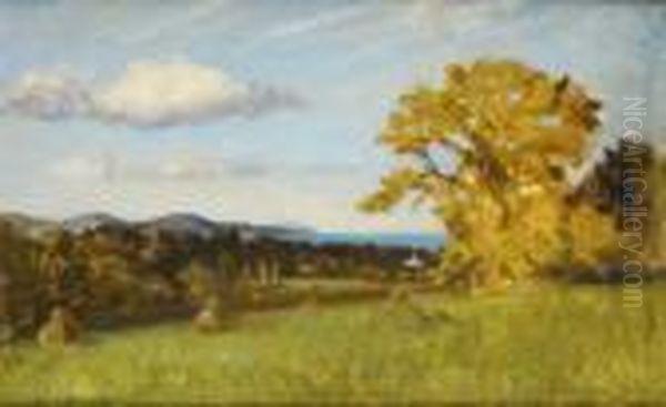 View From The Dublin Mountains - view 1