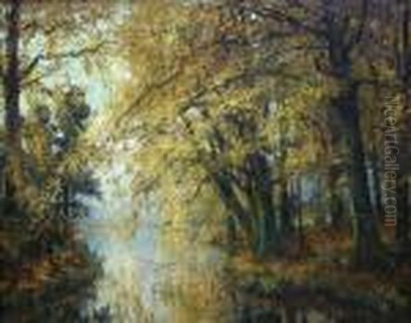 Bosgezicht - Sous-bois. - view 1