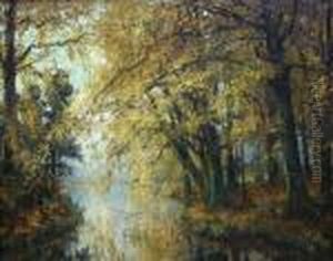 Bosgezicht - Sous-bois.