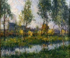 [canal Arbore]