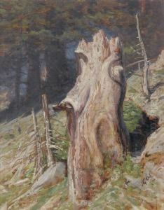 Waldlichtung Mit Baumstrunk