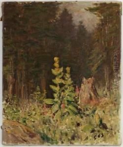 Foret Foret