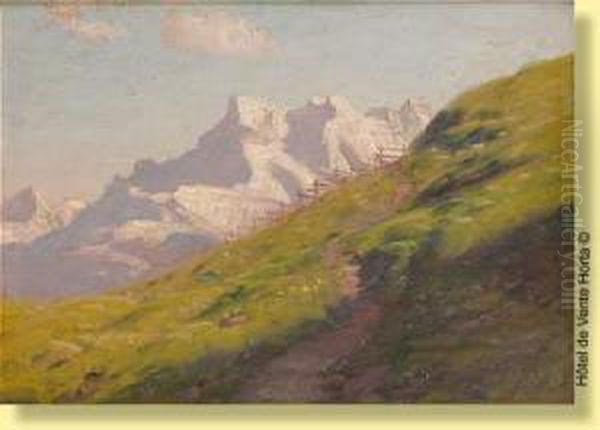 Les Dents Du Midi - view 1
