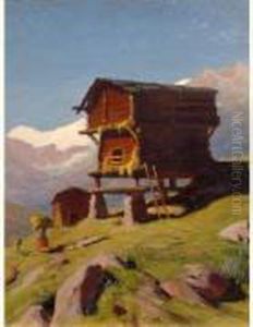 Cabane Dans La Montagne