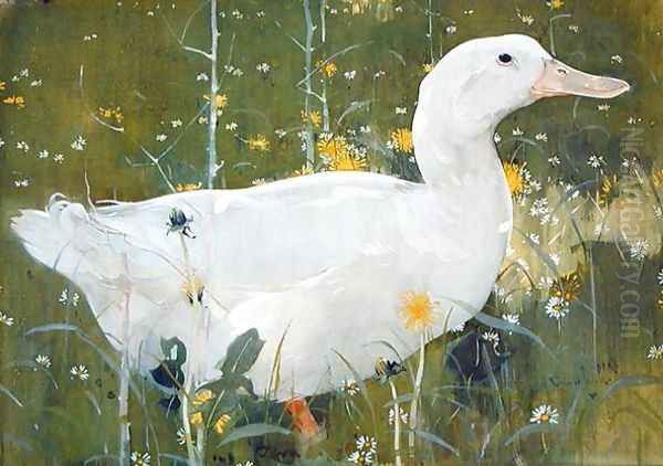 The White Drake by Joseph Crawhall