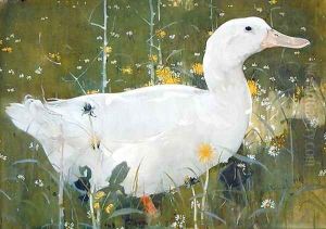 The White Drake by Joseph Crawhall