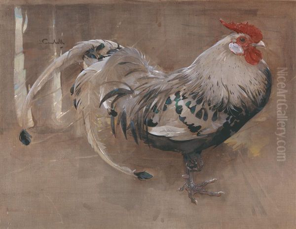 The Spangled Cock - view 1