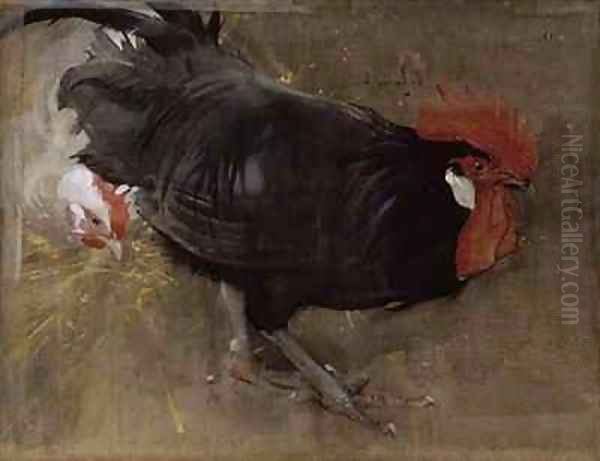 The Black Cock - view 1