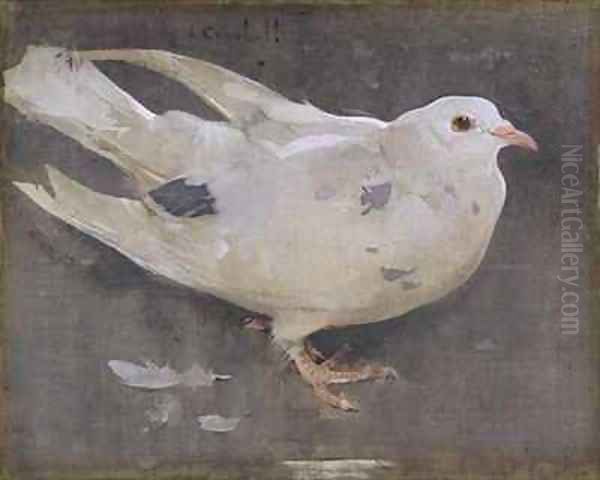 The Pigeon - view 1