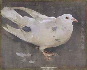 The Pigeon by Joseph Crawhall