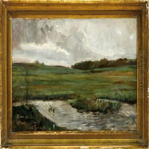 A Meadow - view 1