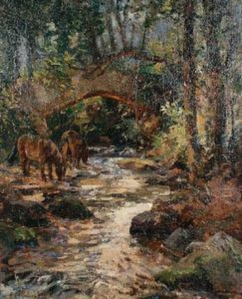 Packhorse Bridge On The Horner Water,exmoor - view 1