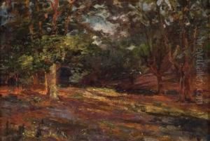 Waldlichtung by Alexander Carruthers Gould