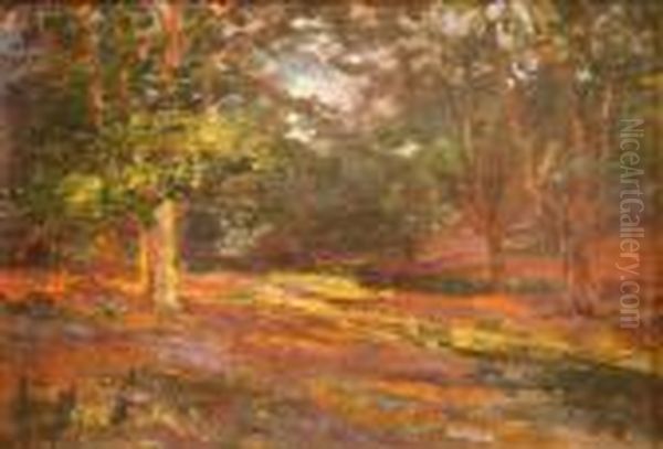 View In The Innerforest - view 1