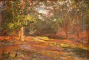 View In The Innerforest by Alexander Carruthers Gould