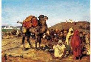 Marche Aux Chameaux A Kairouan.