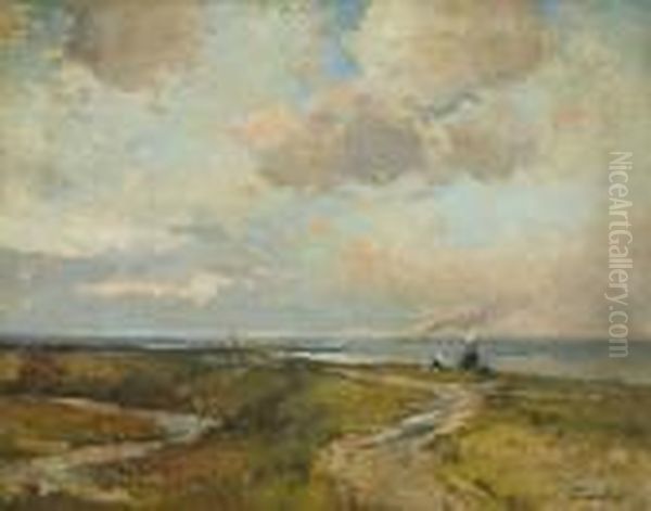 Cote Zelandaise - Dekust Van Zeeland - view 1