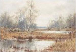 Marshland by James Edward Grace