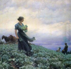 The Cabbage Field