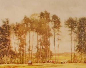 Cattlegrazing Near Trees