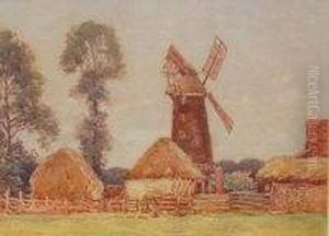 Roi - Bear Farm At Hingham, Norfolk