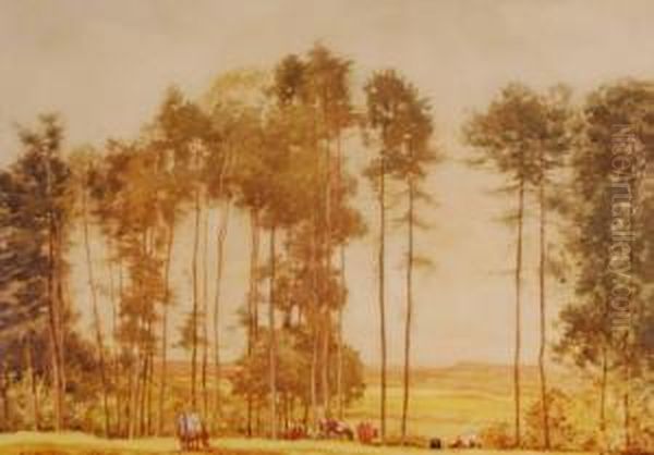 Untitled - view 1