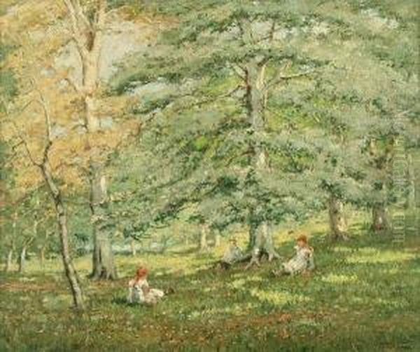 The Green Wood - view 1