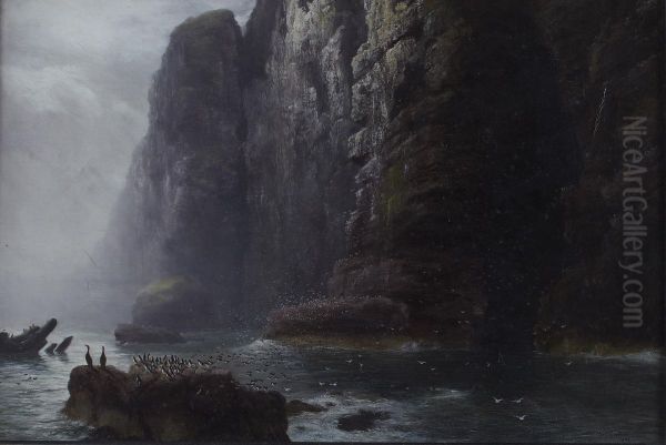 The Cradle Of The Sea-bird - view 1