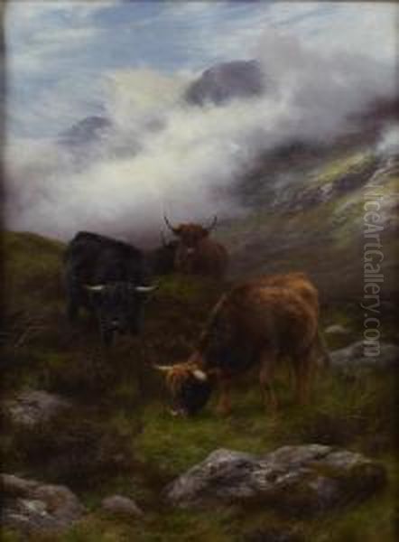 Highland Cattle In A Mountain Glen - view 1